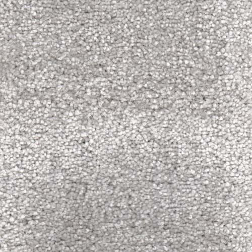 Invicta 2020 Mercury Carpet