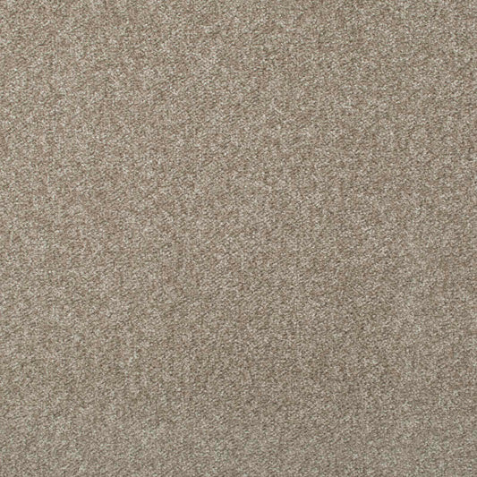 Solido 5 H1417 Mink carpet