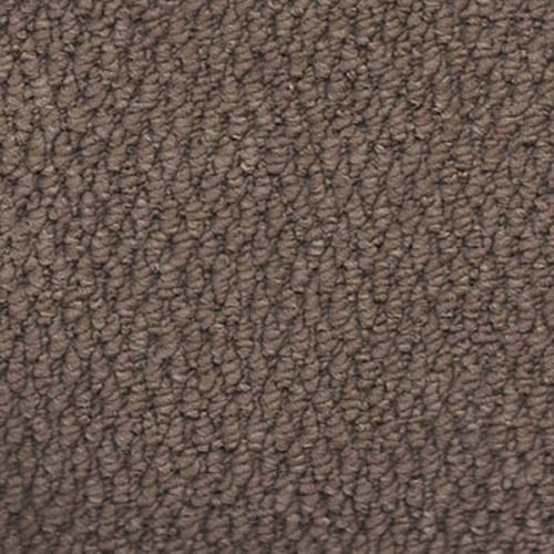 Regatta 2026 Mink Carpet