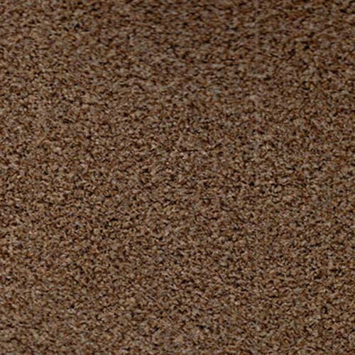 Easy Living 2020 Mink Carpet