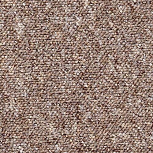 Megastar Mink Carpet