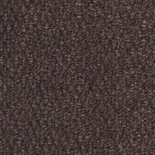 Regatta 2026 Mocha Carpet