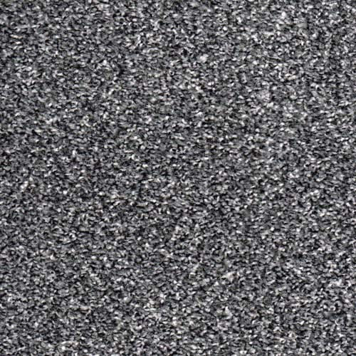 Alpine 2026 Nickel Carpet