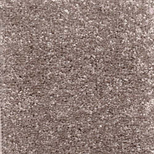 Invicta 2020 Nickel Carpet