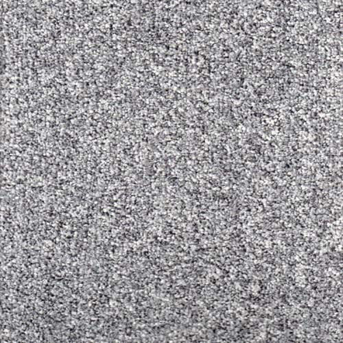 Royal Prestige 2024 Nickel Carpet