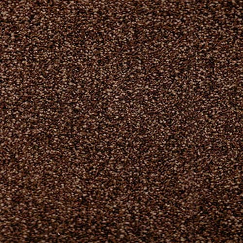 Beverly Hills 2019 Oak Carpet
