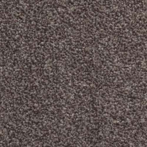 Splendour Oak Carpet