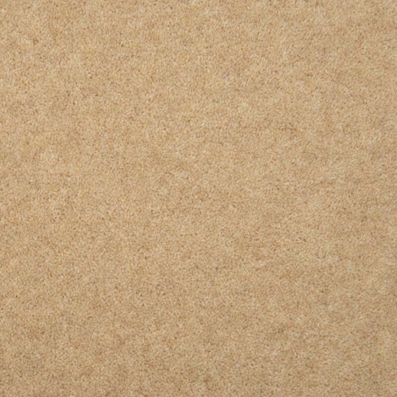 Penthouse Carpets Esprit Nouveau 50oz Omega Carpet