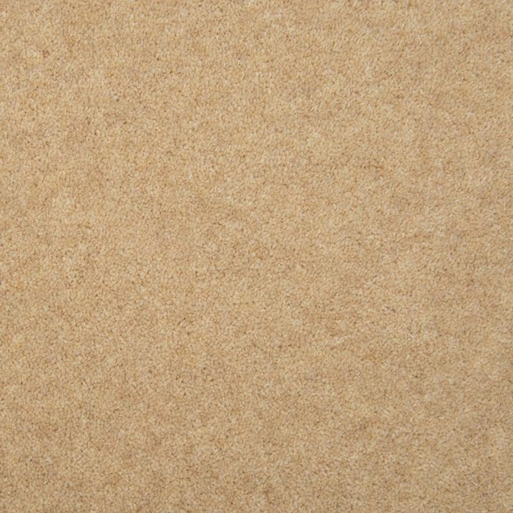 Penthouse Carpets Esprit Nouveau 75oz Omega Carpet