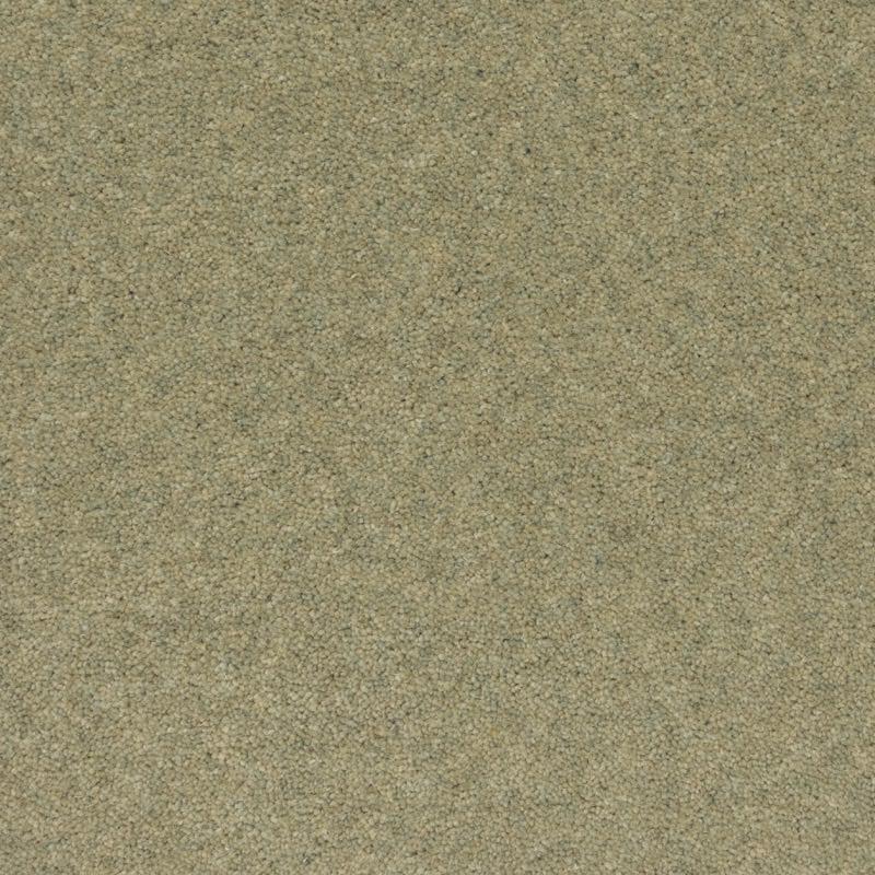 Penthouse Carpets Prism 40oz Onyx Carpet