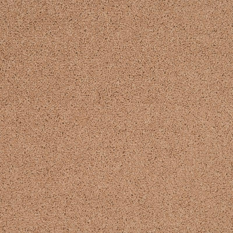Penthouse Carpets Pentwist Colours 50oz Naturals Oyster Carpet