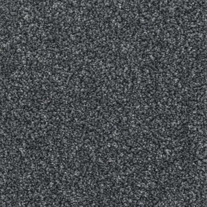 Manx Tomkinson Puerto Rico Deluxe Polypropylene Palaminos Carpet
