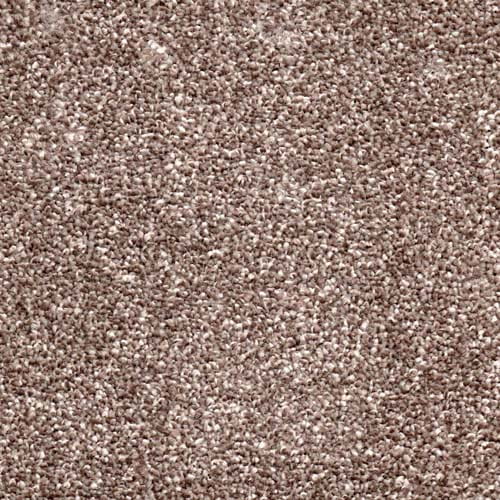 Eden Twist Endurance Peat Carpet