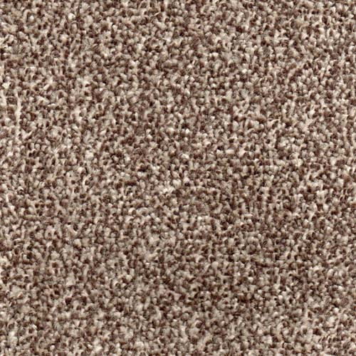 Hong Kong 2024 Peat Carpet
