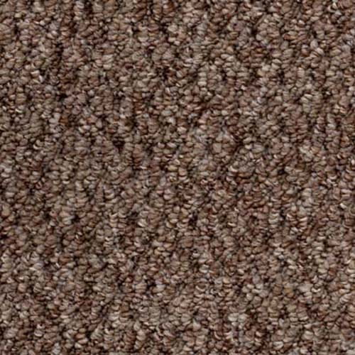 Sweet Home 2020 Pecan Carpet