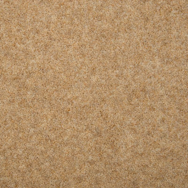 Penthouse Carpets Esprit Nouveau 75oz Pegasus Carpet