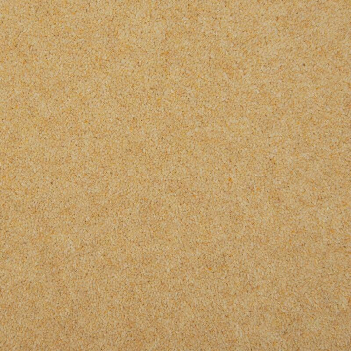 Penthouse Carpets Esprit Nouveau 75oz Curlew Carpet