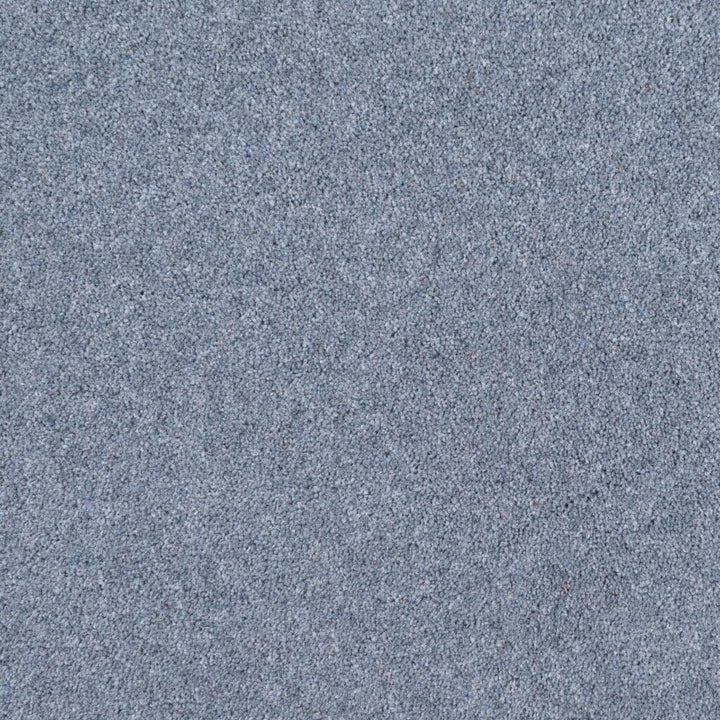 Penthouse Carpets Esprit Nouveau 75oz Comet Carpet