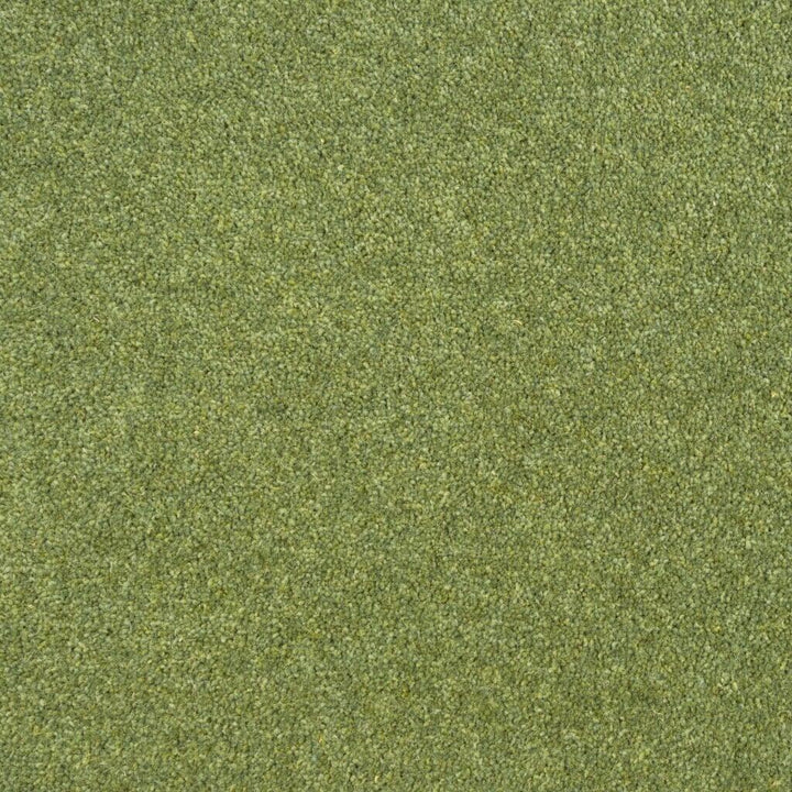 Penthouse Carpets Esprit Nouveau 75oz Cyrus Carpet
