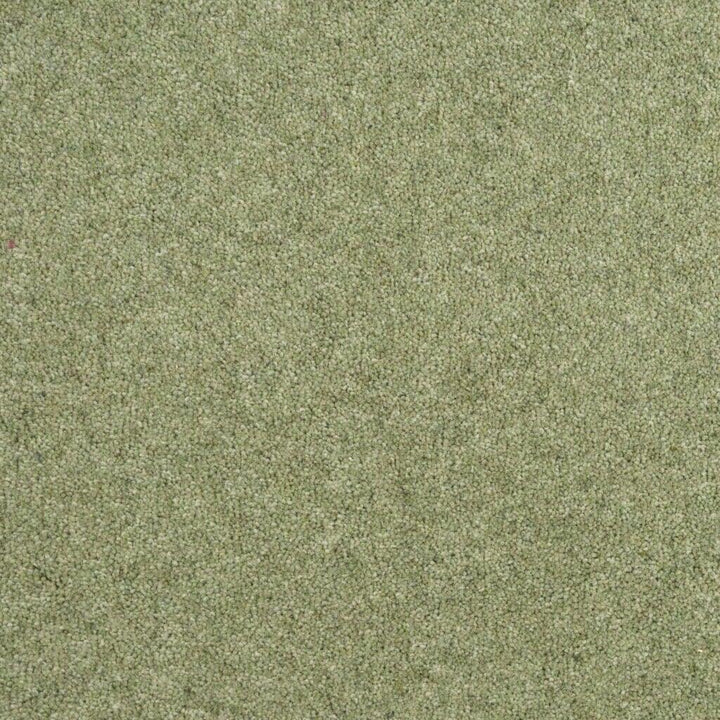 Penthouse Carpets Esprit Nouveau 75oz Vesper Carpet