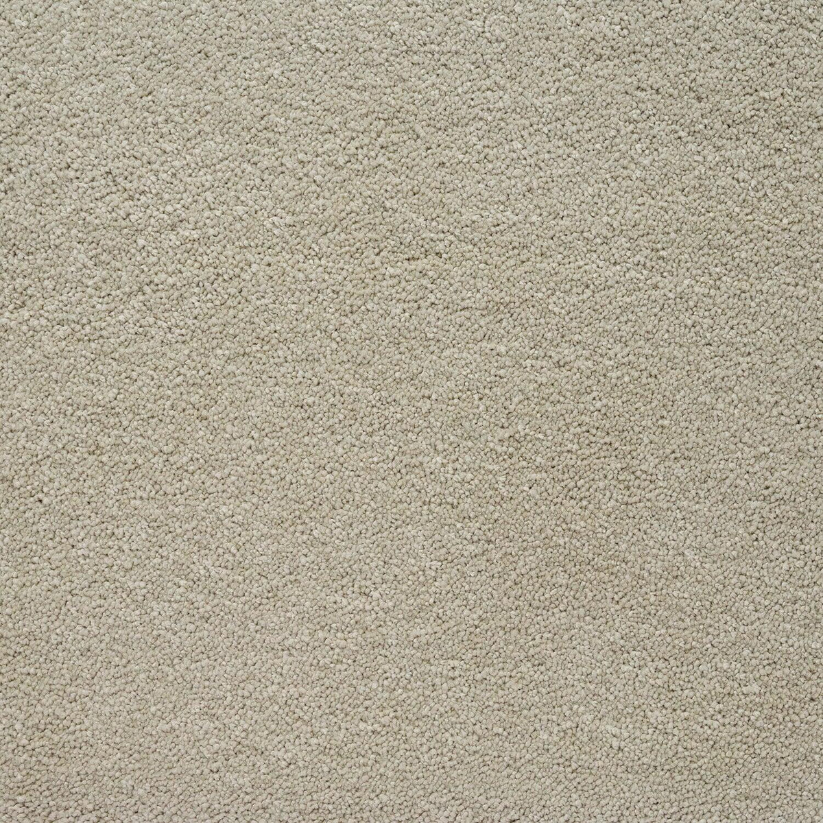 Penthouse Carpets Marvella St Tropez Carpet