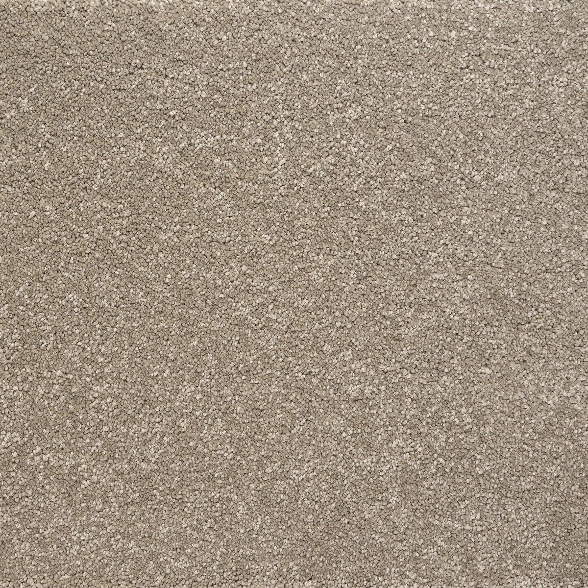 Penthouse Carpets Marvella Whistler Carpet