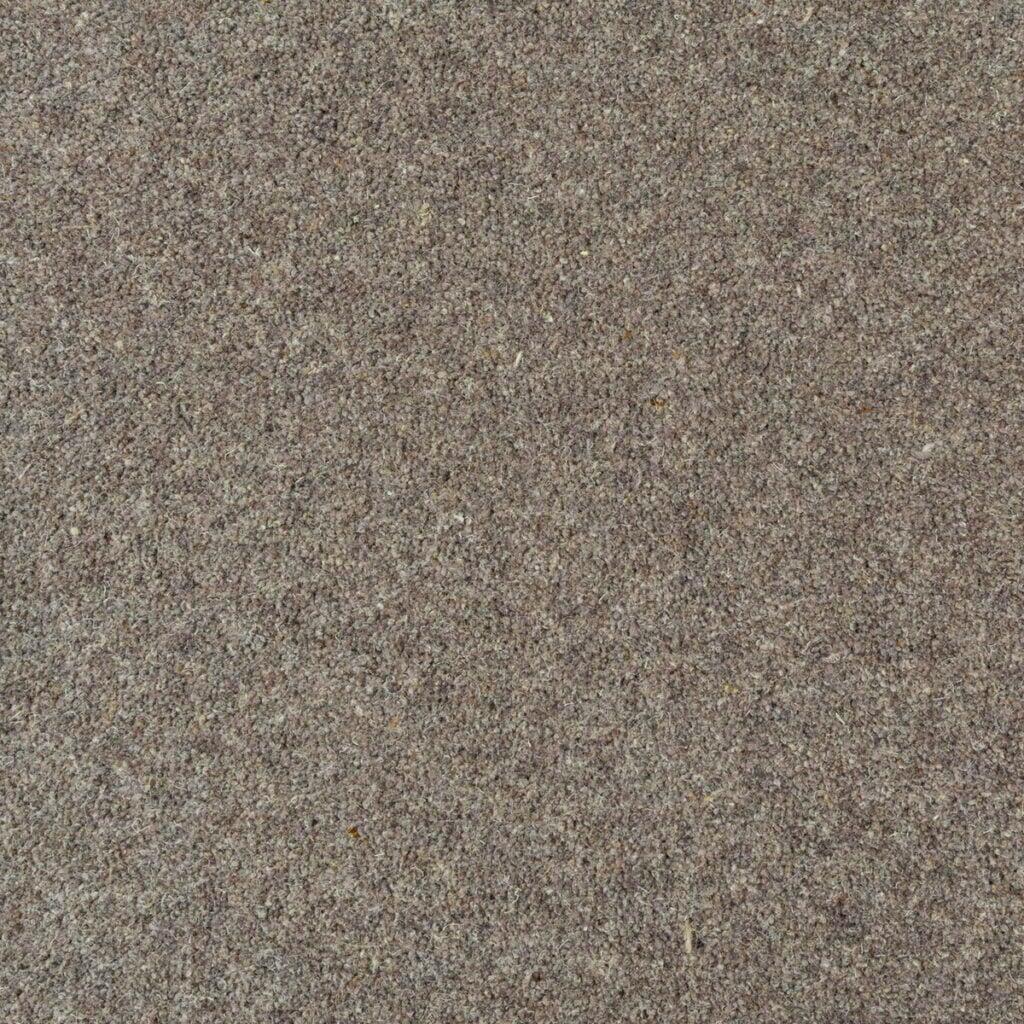 Penthouse Carpets Seasons Equinox Carpet