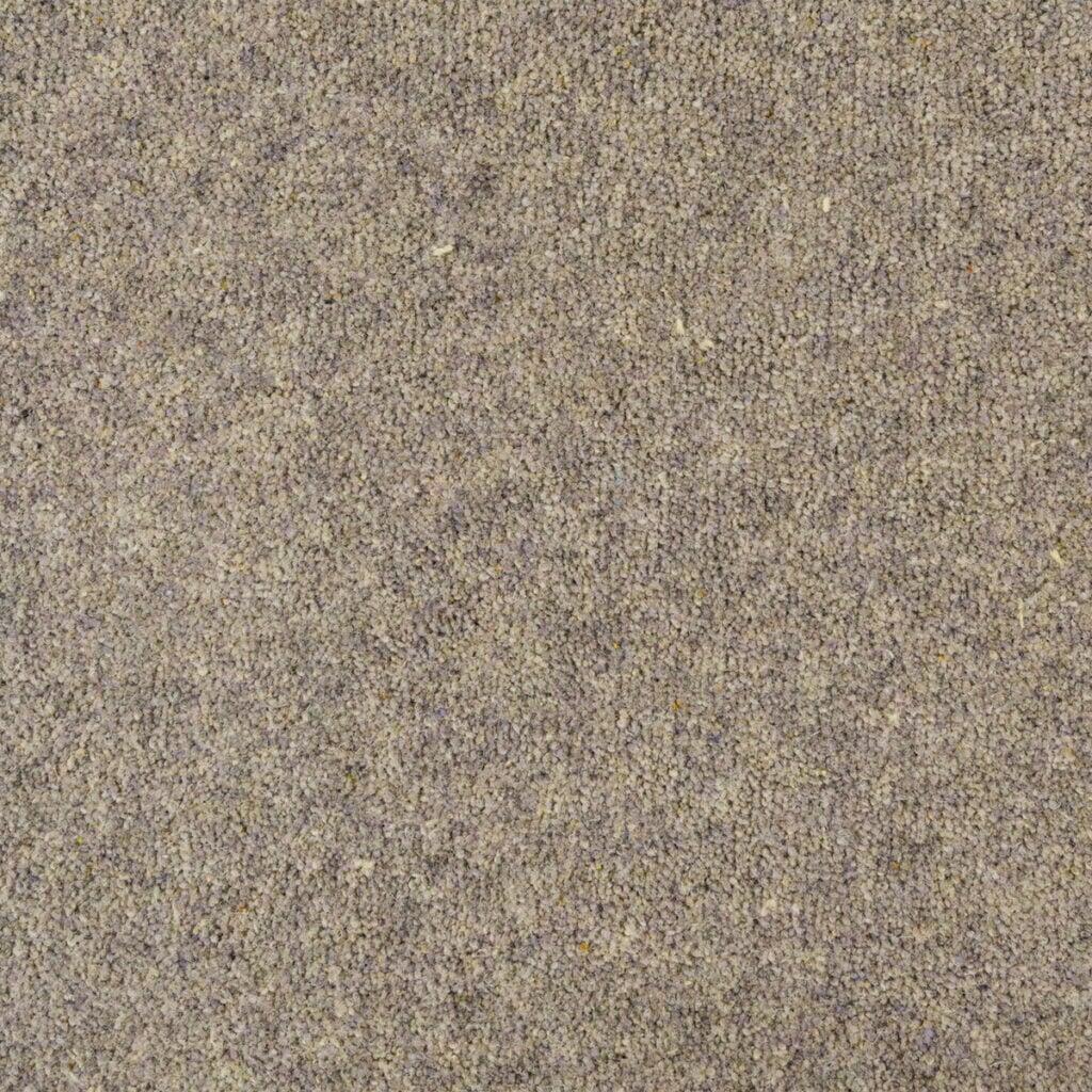 Penthouse Carpets Seasons Solstice Carpet