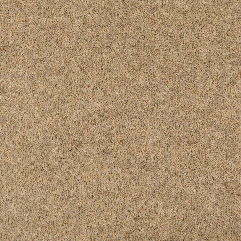 Penthouse Carpets Seasons Spring Carpet