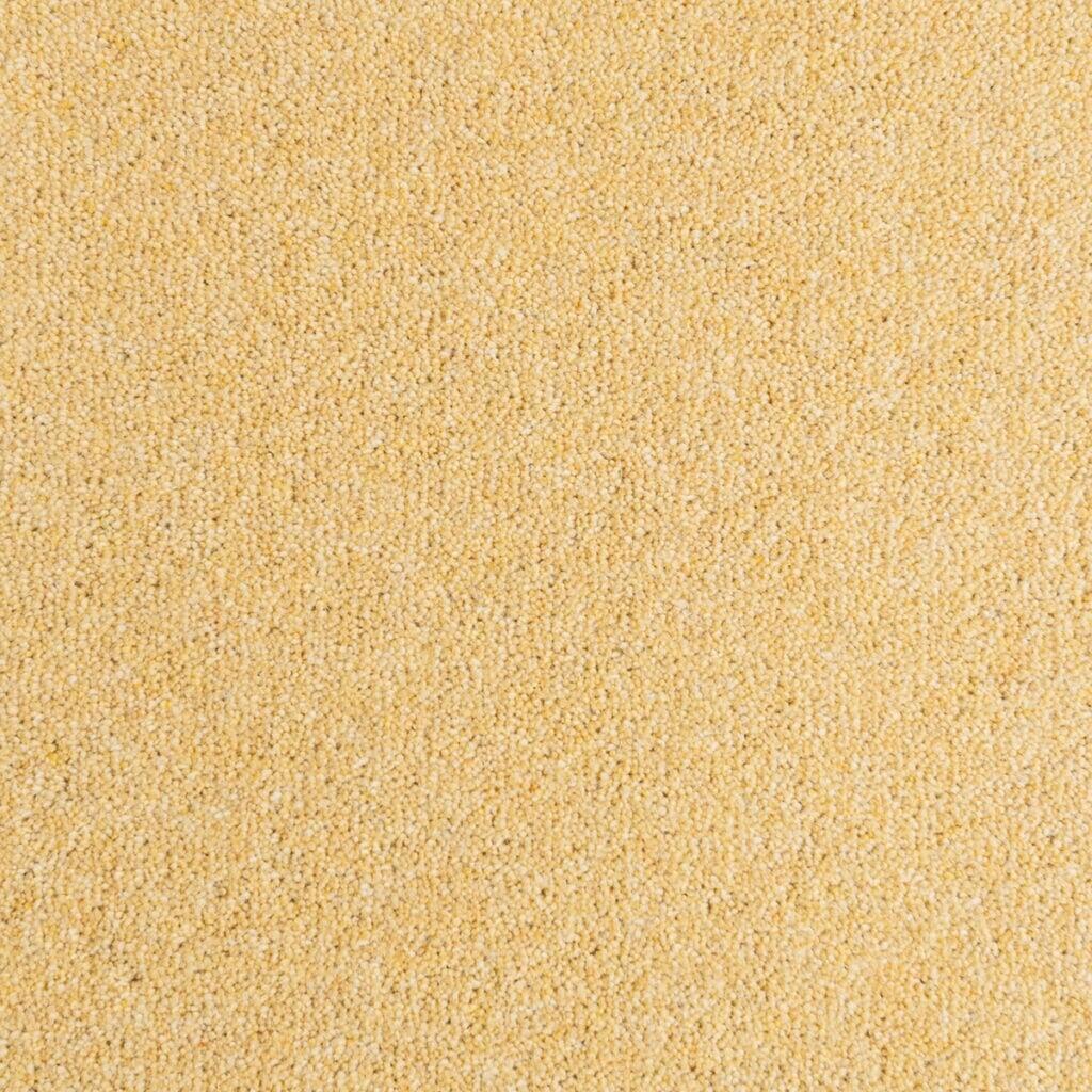 Penthouse Carpets Seasons Sunrise Carpet
