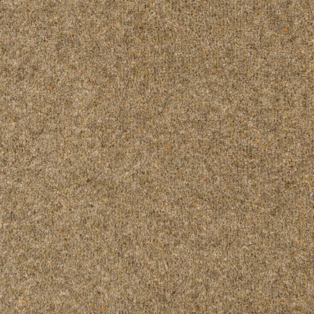 Penthouse Carpets Seasons Winter Carpet