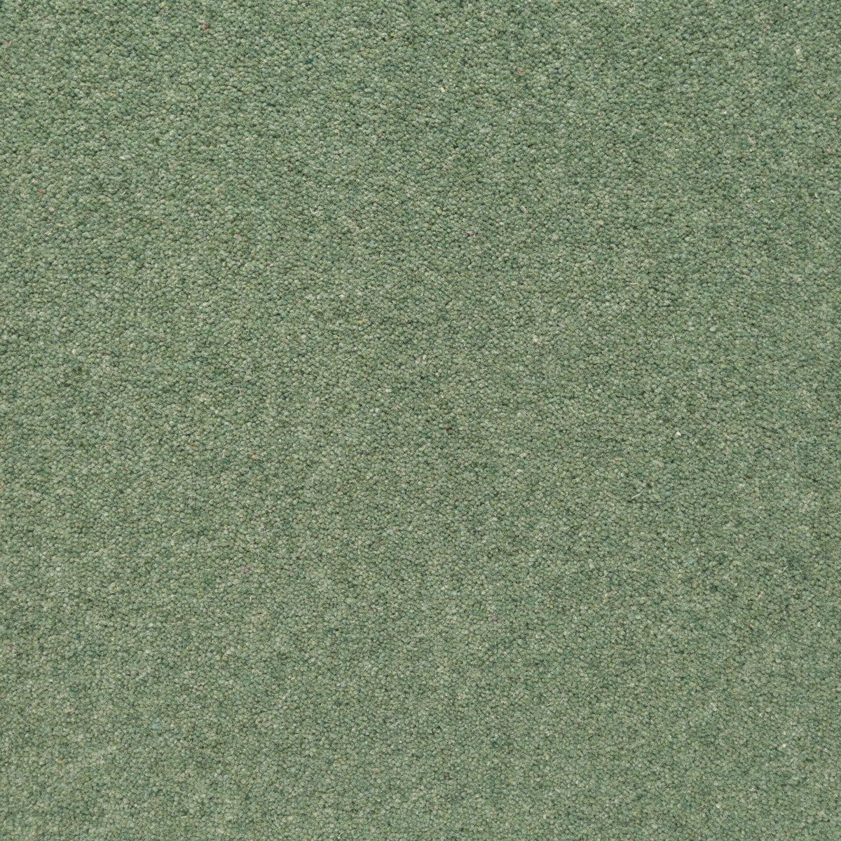 Penthouse Carpets Shoreline 50oz Samphire Carpet