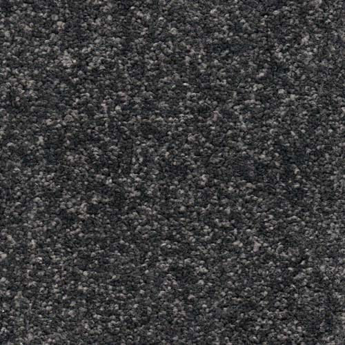 Alpine 2026 Pewter Carpet