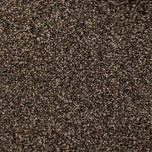 Beverly Hills 2019 Pewter Carpet