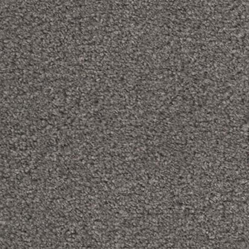 Easy Living 2020 Phantom Carpet