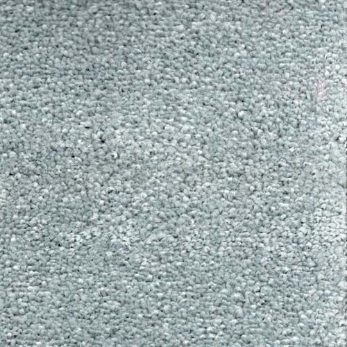 Invicta 2020 Pine Carpet