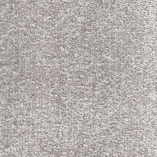 Alpine 2026 Platinum Carpet