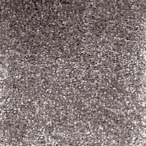 Invicta 2020 Platinum Carpet