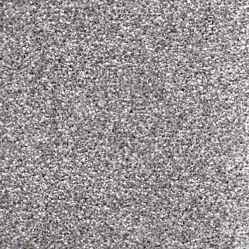New Pier Twist 2026 Platinum Carpet
