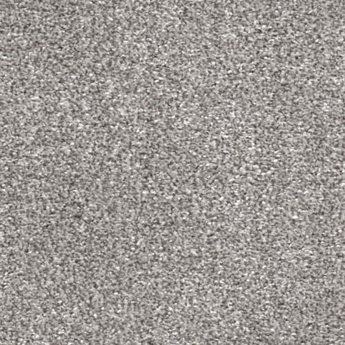 Eden Twist Endurance Platinum Carpet