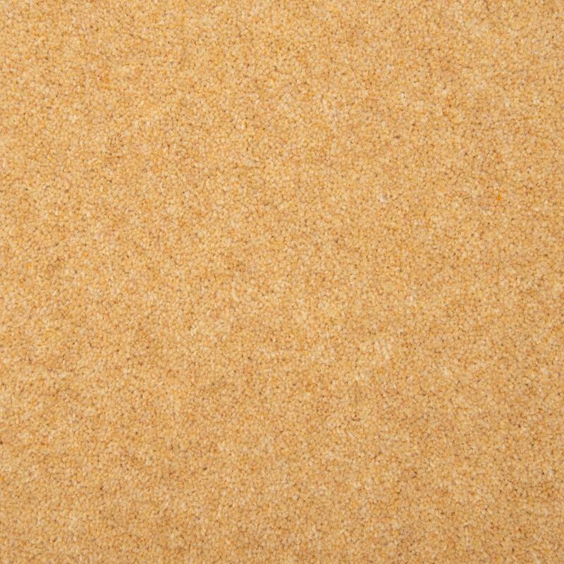 Penthouse Carpets Esprit Nouveau 50oz Plover Carpet