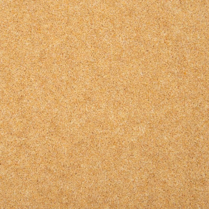 Penthouse Carpets Esprit Nouveau 75oz Plover Carpet
