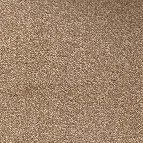Beverly Hills 2019 Portland Carpet