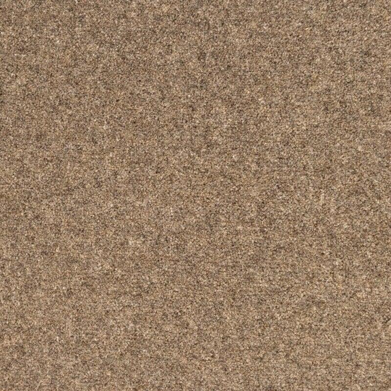 Penthouse Carpets Springtime 50oz Portland Carpet