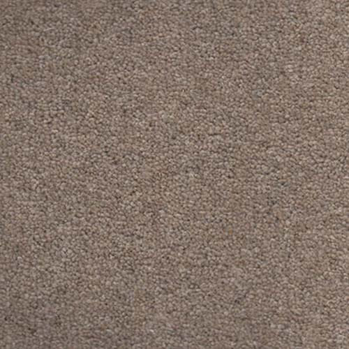 Buckingham 2018 50 Putty Carpet
