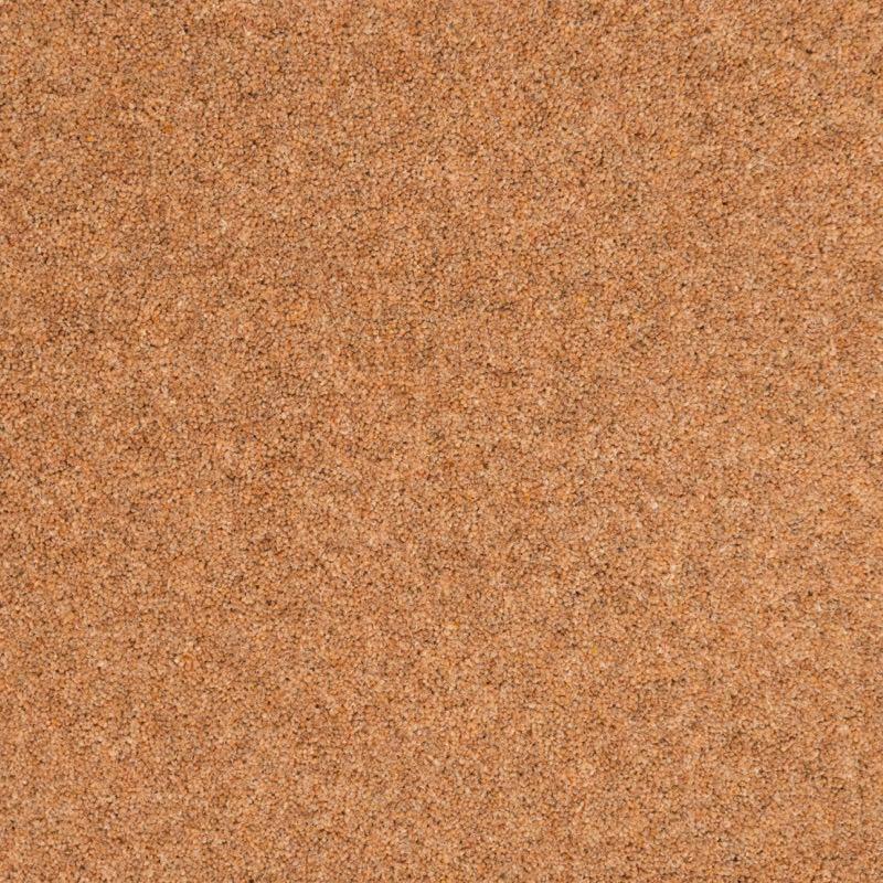 Penthouse Carpets Shoreline 40oz Reef Carpet