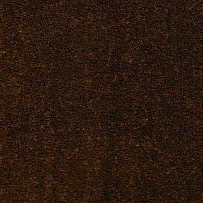 Tramore 2017 Rich Brown Carpet