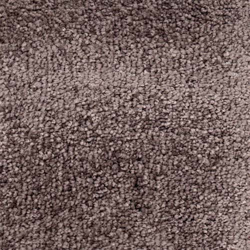 Invicta 2020 Roebuck Carpet
