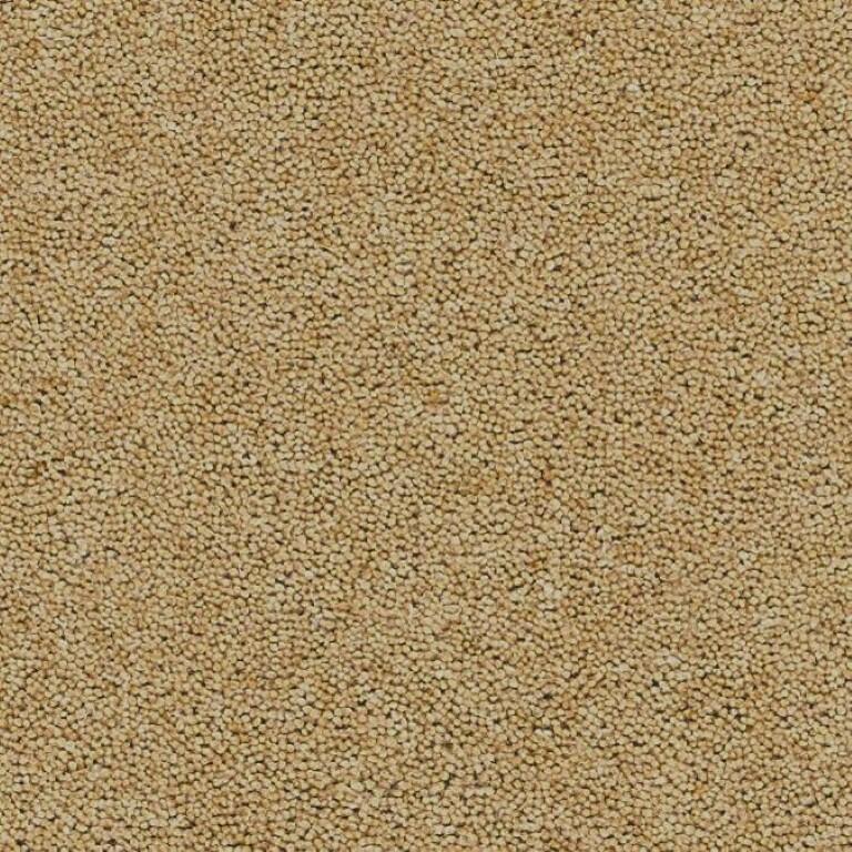 Brockway Carpets Rosedale Daffodil Valley Carpet