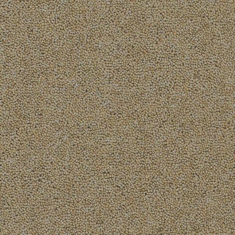 Brockway Carpets Rosedale Danby Castle Carpet